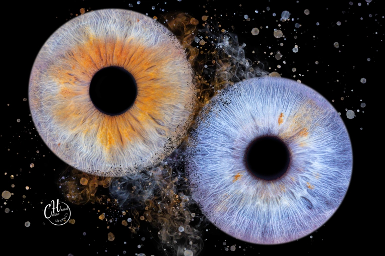 Photographie, Iris, Artistique
