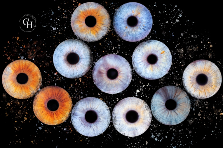 Photographie, Famille, Iris, Artistique