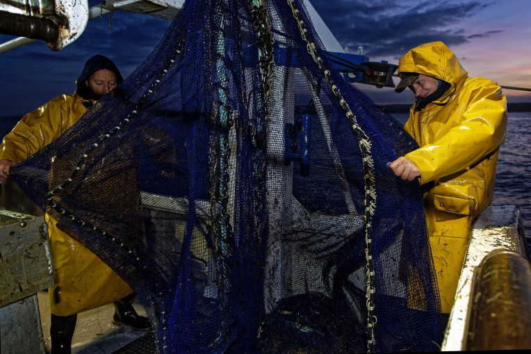 Photographie, Suivi de chantier, Traditionnel