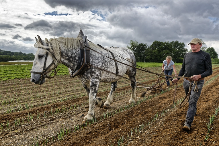 Photographie, Nature, Suivi de chantier, Traditionnel