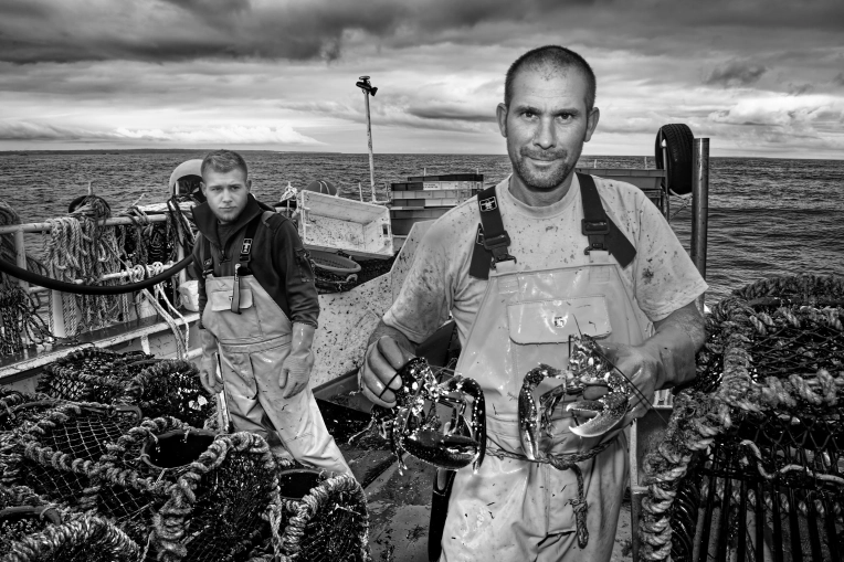 Photographie, Portrait, Nature, Suivi de chantier, Artistique
