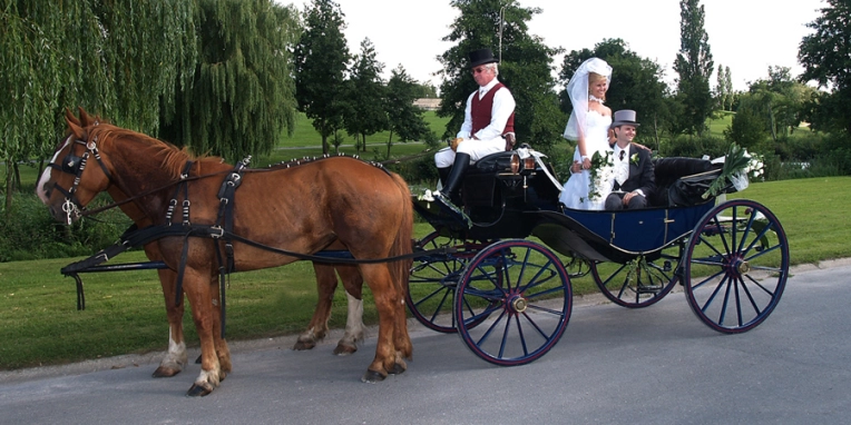 Photographie, Vidéo et montage, Mariage, Famille, Couple, Evènement, Traditionnel, Vintage