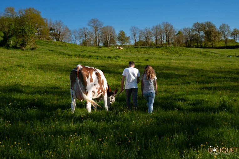Photographie, Couple, Nature, Artistique, Traditionnel