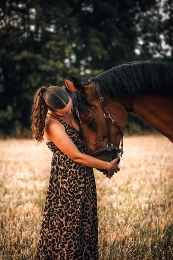 Photographie, Animal de compagnie, Artistique