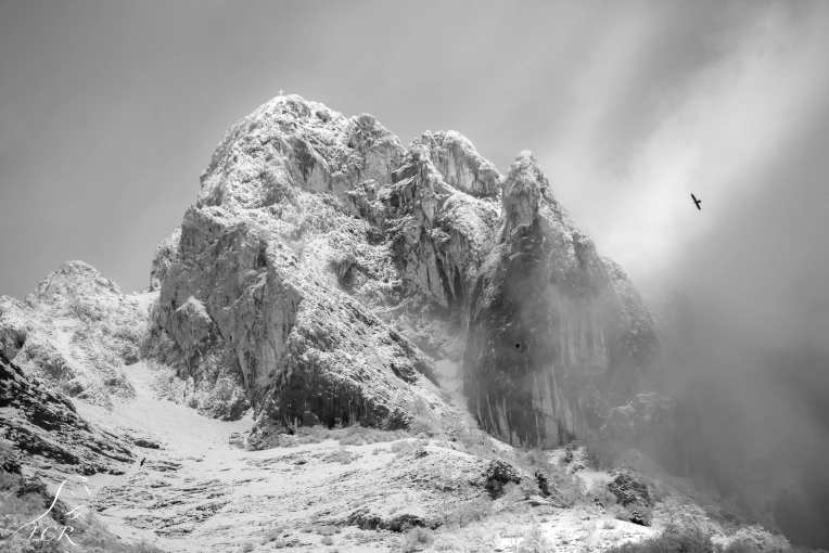 Photographie, Evènement, Artistique