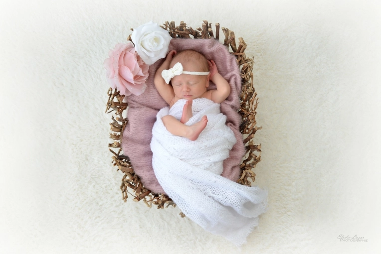 Photography, Newborns, Traditional