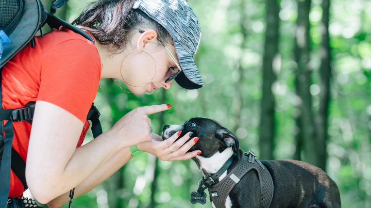 Photography, Pets, Lifestyle