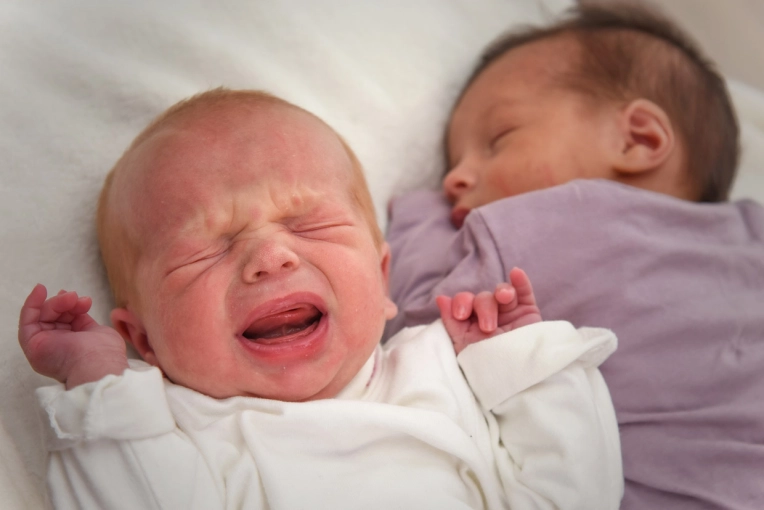Photographie, Naissance, Famille, Portrait, Artistique