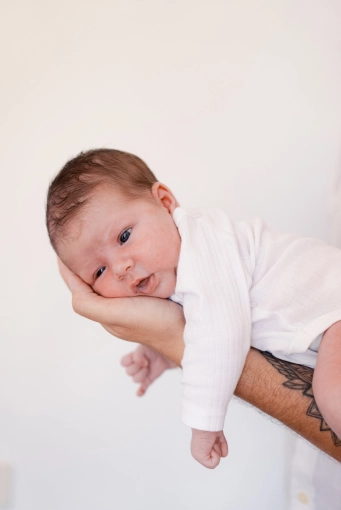 Photographie, Naissance, Traditionnel