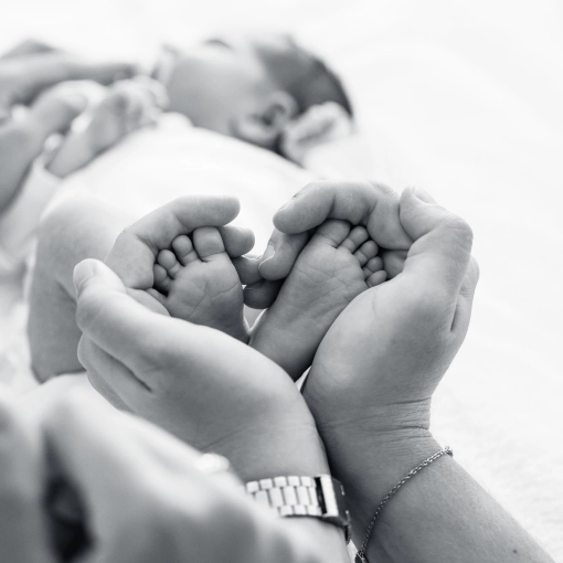 Photographie, Naissance, Traditionnel