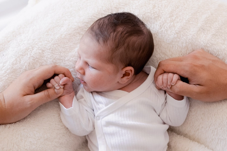Photographie, Naissance, Traditionnel