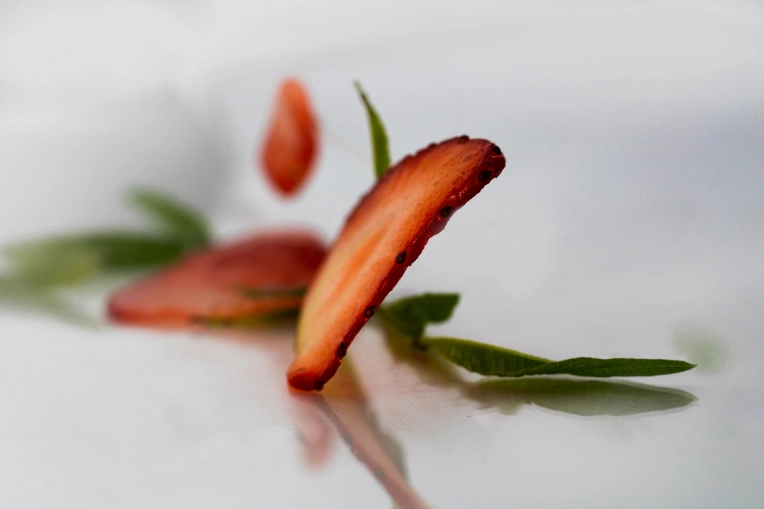Photographie, Culinaire, Artistique