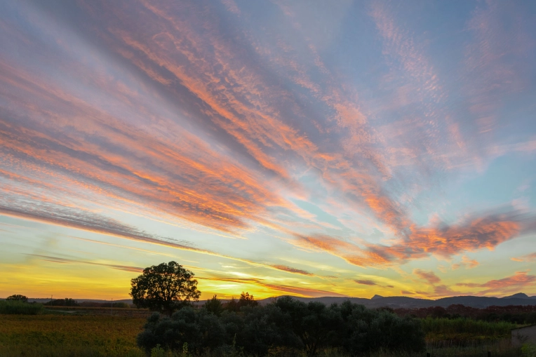 Photographie, Retouche photo, Nature, Artistique