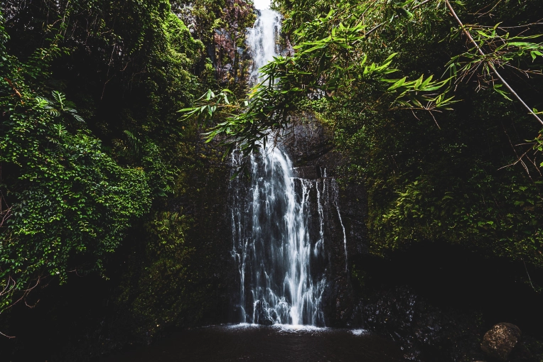Photography, Nature, Traditional