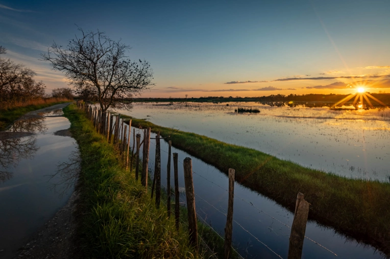 Photographie, Nature, Artistique, Traditionnel