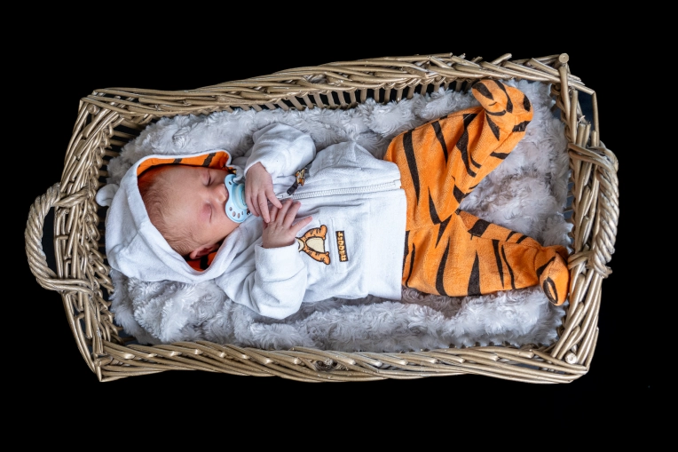 Photography, Photo retouching, Newborns, Portraits, Artistic