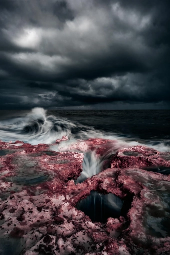 Photographie, Retouche photo, Formation, Cours de Photographie, Nature, Artistique