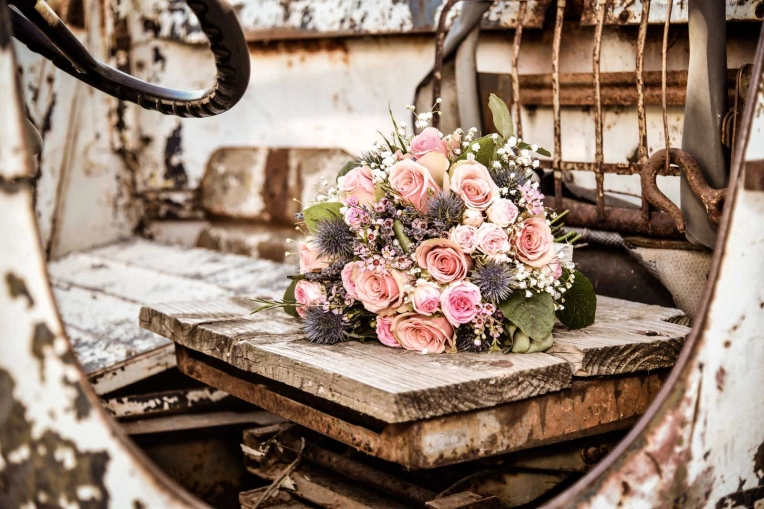 Photography, Weddings, Lifestyle
