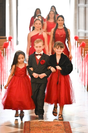 Photography, Weddings, Lifestyle