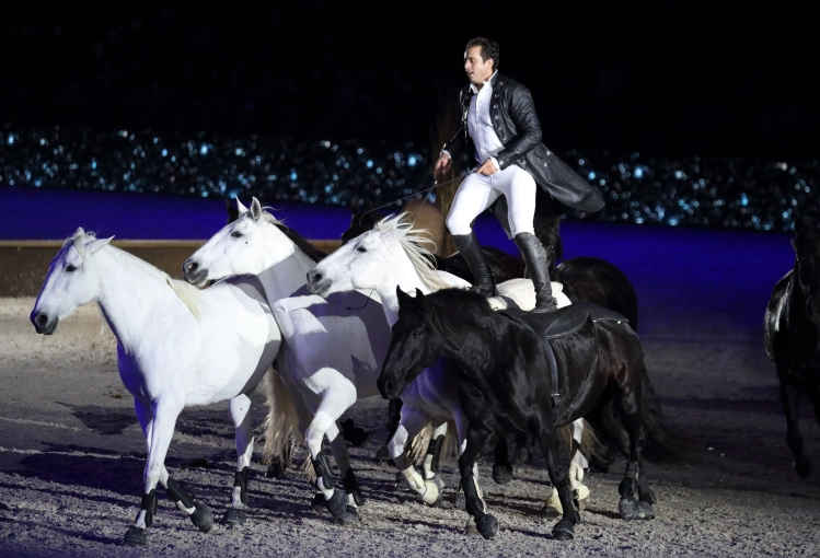 Photographie, Concert/Spectacle, Traditionnel