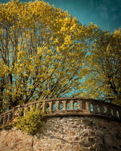 Photographie, Retouche photo, Nature, Artistique