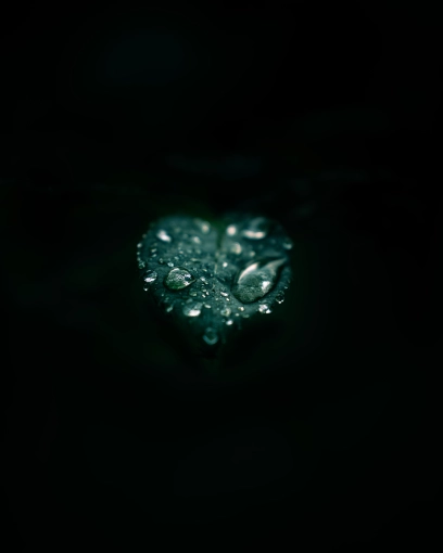 Photographie, Retouche photo, Nature, Artistique