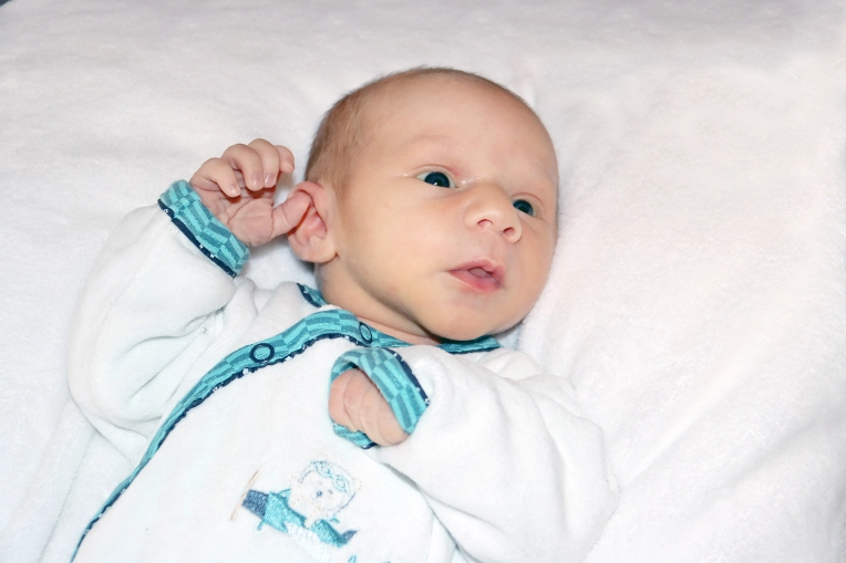 Photography, Newborns, Artistic, Traditional