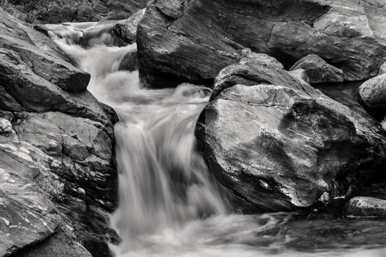 Photographie, Nature, Artistique, Traditionnel, Lifestyle
