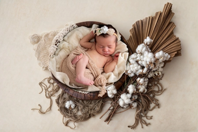Photographie, Naissance, Artistique