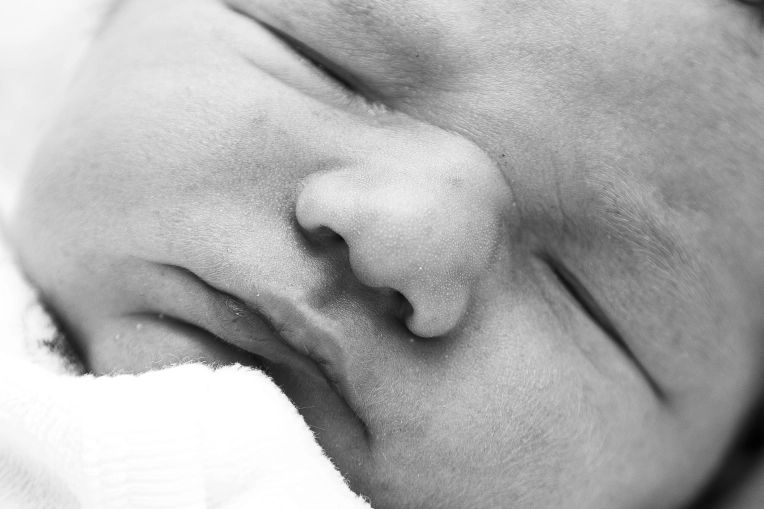 Photography, Newborns, Traditional