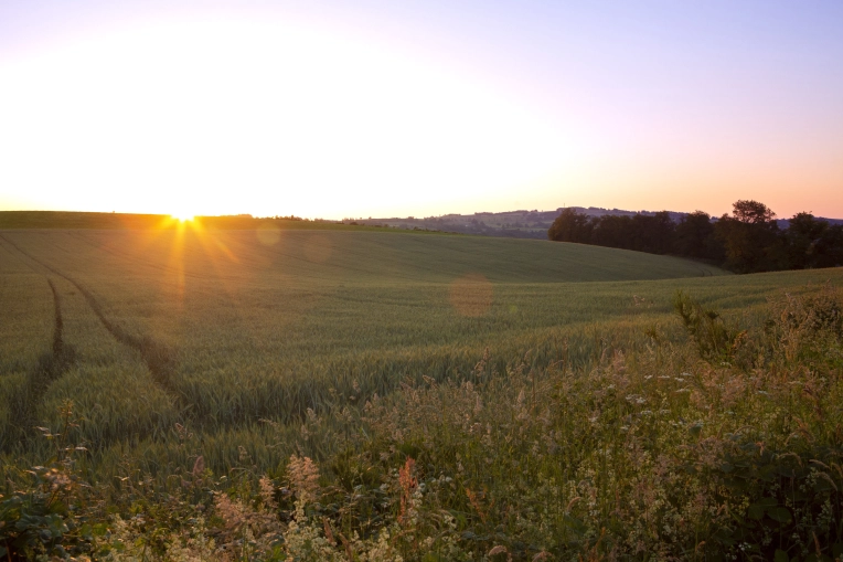 Photographie, Corporate, Artistique, Traditionnel