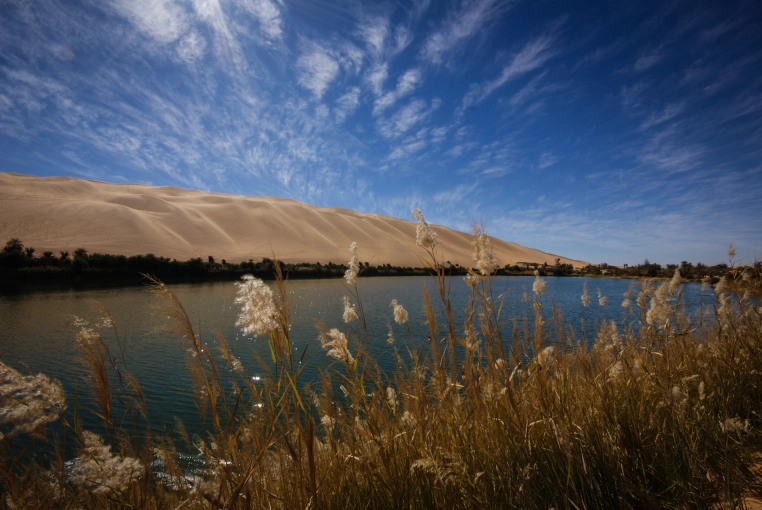 Photographie, Retouche photo, Vidéo et montage, Motion design, Nature, Tirage / impression photo, Artistique, Lifestyle