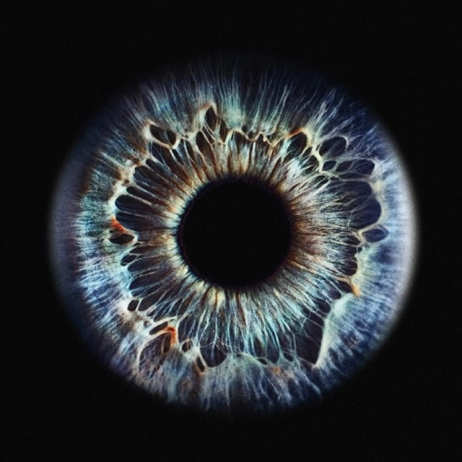 Photographie, Retouche photo, Vidéo et montage, Motion design, Iris, Tirage / impression photo, Artistique, Lifestyle