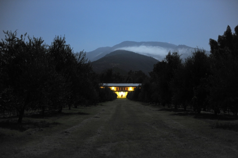 Photographie, Nature, Artistique, Lifestyle