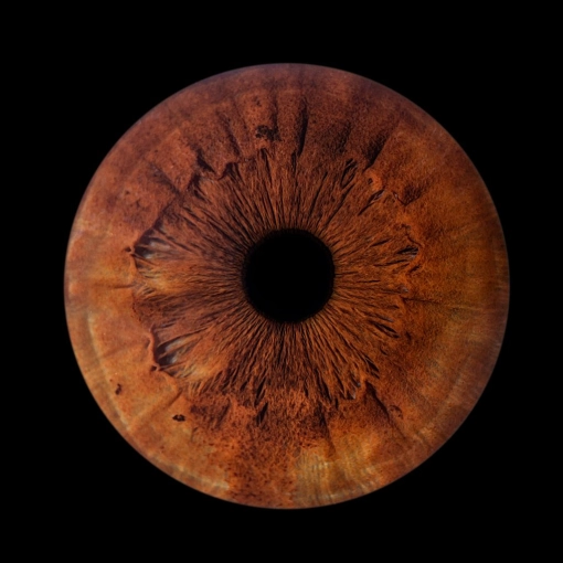Photographie, Iris, Traditionnel