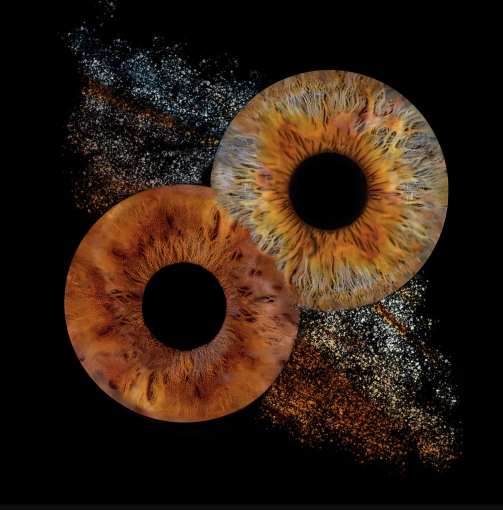 Photographie, Iris, Traditionnel, Lifestyle