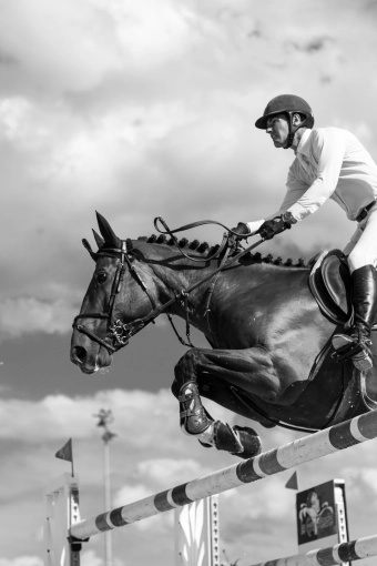 Photographie, Retouche photo, Animal de compagnie, Evènement, Sport, Nature, Artistique, Traditionnel, Lifestyle