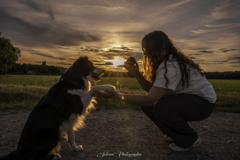Photographie, Animal de compagnie, Lifestyle