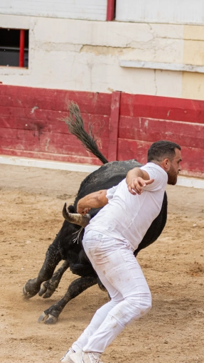 Photographie, Sport, Traditionnel