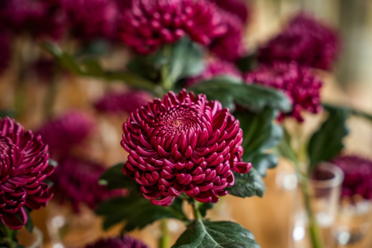 Photographie, Retouche photo, Mariage, Evènement, Corporate, Traditionnel