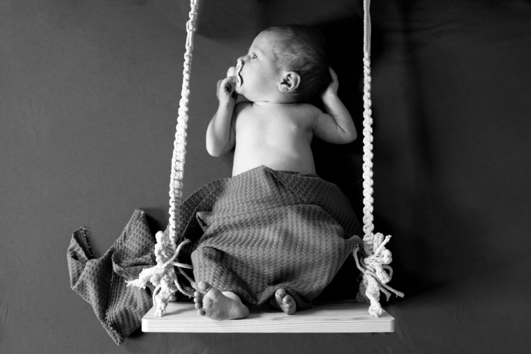 Photographie, Naissance, Traditionnel