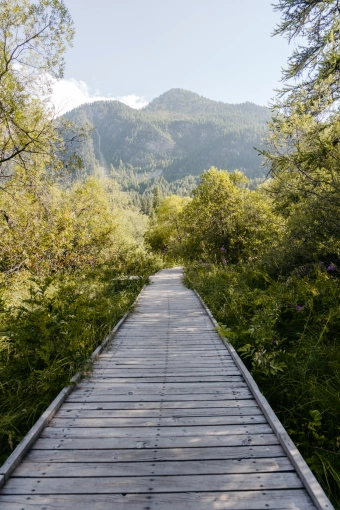 Photography, Nature, Artistic, Lifestyle