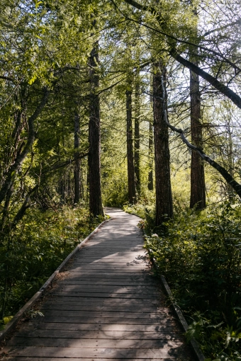 Photography, Photo retouching, Nature, Artistic, Lifestyle