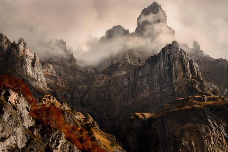 Photography, Classes, Photography Classes, Nature, Artistic