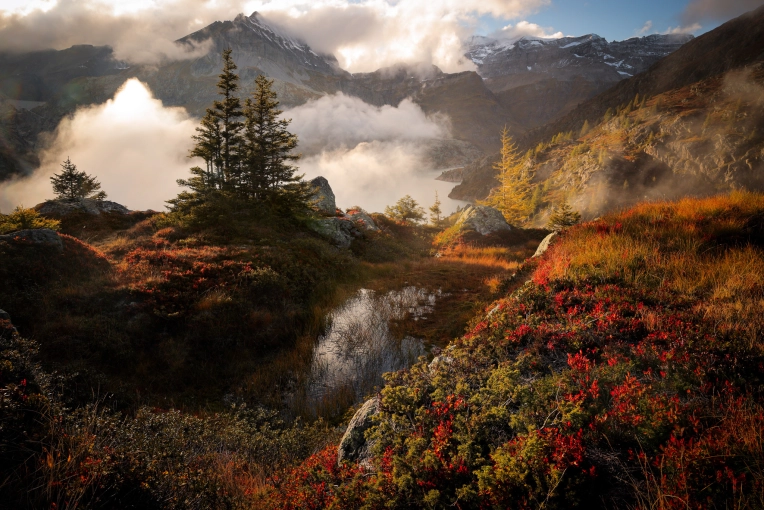 Photography, Classes, Photography Classes, Nature, Artistic