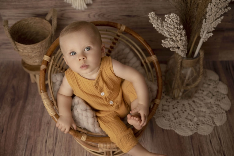 Photographie, Famille, Artistique