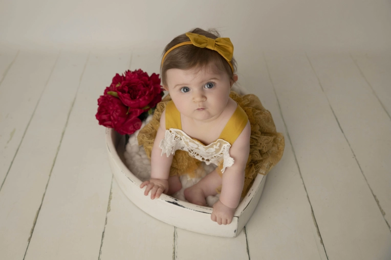 Photographie, Famille, Artistique, Traditionnel