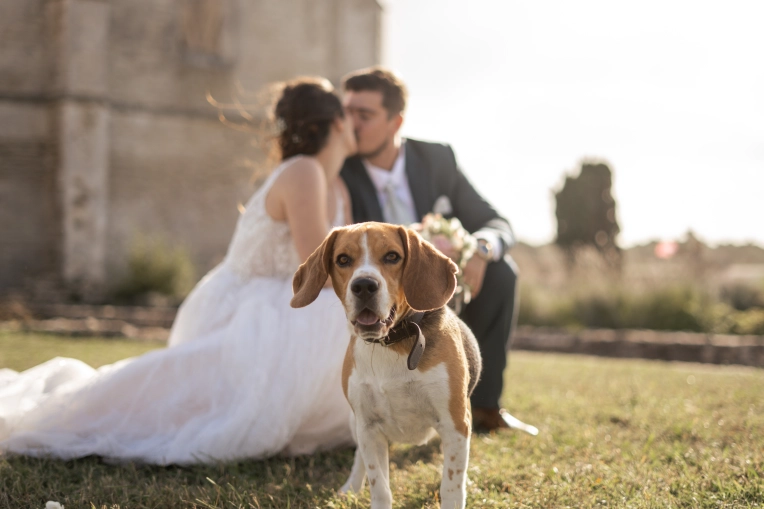 Photographie, Retouche photo, Mariage, Lifestyle