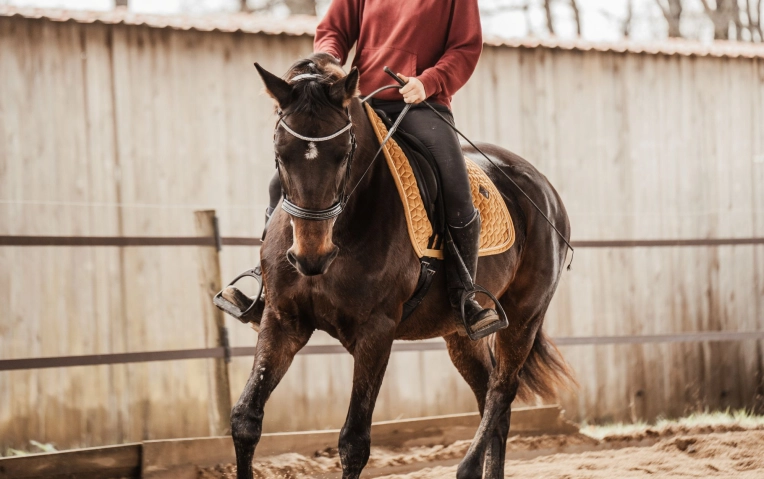 Photographie, Retouche photo, Sport, Lifestyle