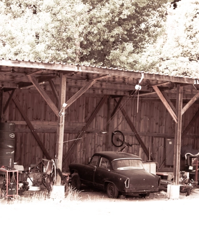 Photography, Nature, Vintage